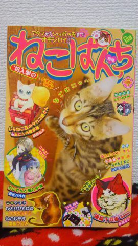 2月発売表紙.jpg