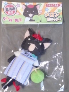 うみねこ先生袋入り.jpg
