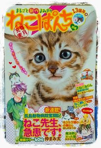 ねこぱんち表紙.jpg